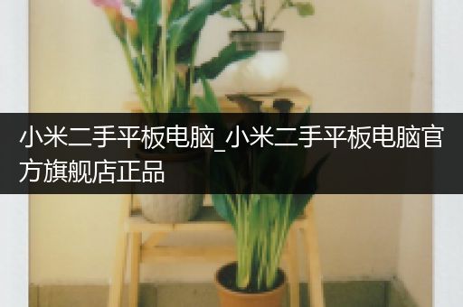 小米二手平板电脑_小米二手平板电脑官方旗舰店正品