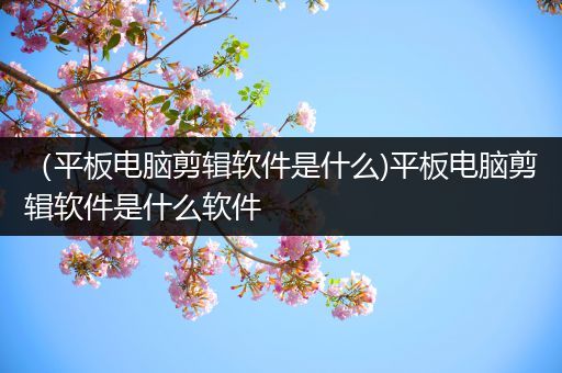 （平板电脑剪辑软件是什么)平板电脑剪辑软件是什么软件