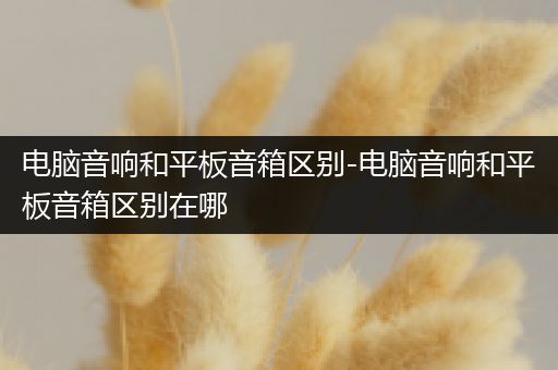 电脑音响和平板音箱区别-电脑音响和平板音箱区别在哪