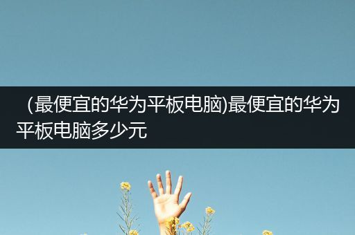 （最便宜的华为平板电脑)最便宜的华为平板电脑多少元