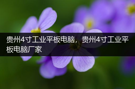 贵州4寸工业平板电脑，贵州4寸工业平板电脑厂家