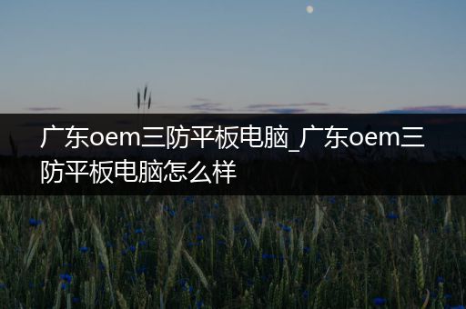 广东oem三防平板电脑_广东oem三防平板电脑怎么样