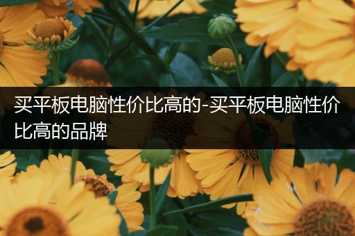 买平板电脑性价比高的-买平板电脑性价比高的品牌