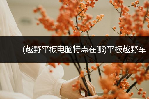 （越野平板电脑特点在哪)平板越野车