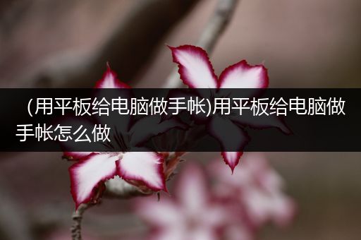 （用平板给电脑做手帐)用平板给电脑做手帐怎么做