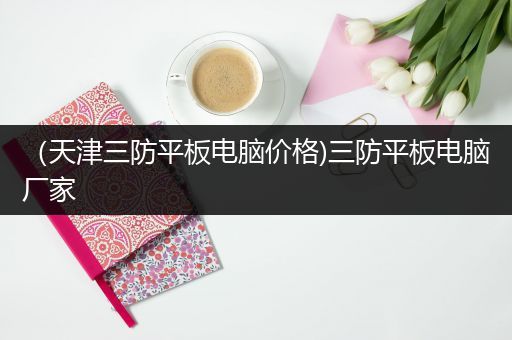 （天津三防平板电脑价格)三防平板电脑厂家