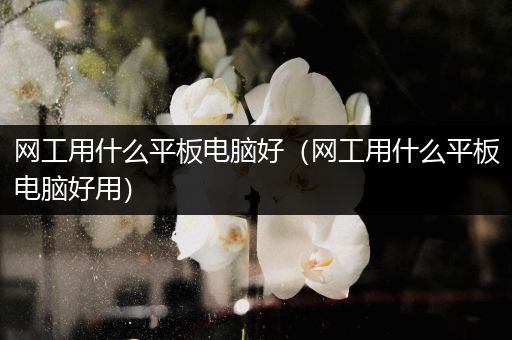 网工用什么平板电脑好（网工用什么平板电脑好用）