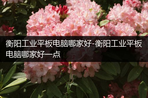 衡阳工业平板电脑哪家好-衡阳工业平板电脑哪家好一点