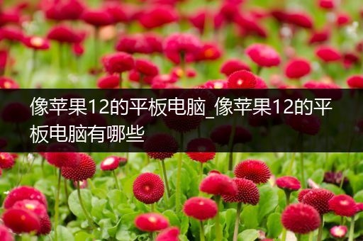 像苹果12的平板电脑_像苹果12的平板电脑有哪些