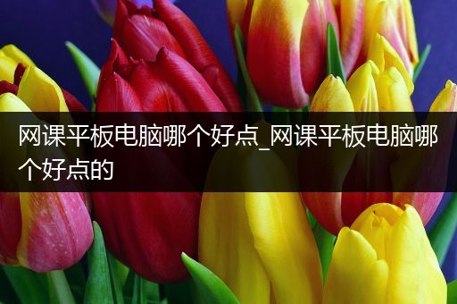 网课平板电脑哪个好点_网课平板电脑哪个好点的