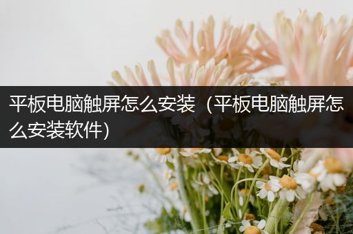 平板电脑触屏怎么安装（平板电脑触屏怎么安装软件）