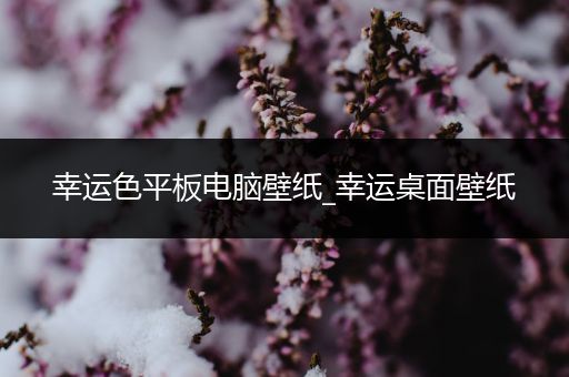 幸运色平板电脑壁纸_幸运桌面壁纸