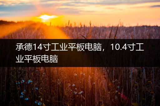 承德14寸工业平板电脑，10.4寸工业平板电脑