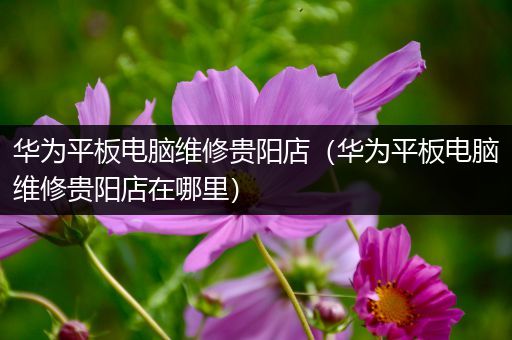 华为平板电脑维修贵阳店（华为平板电脑维修贵阳店在哪里）