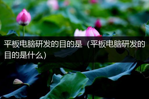平板电脑研发的目的是（平板电脑研发的目的是什么）