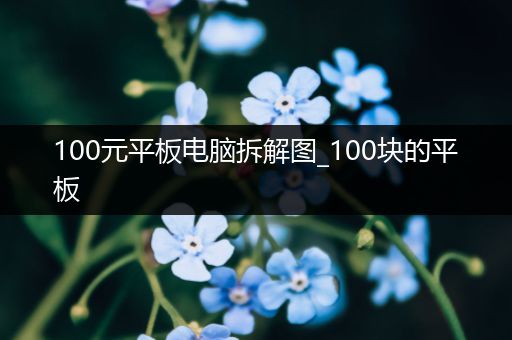 100元平板电脑拆解图_100块的平板
