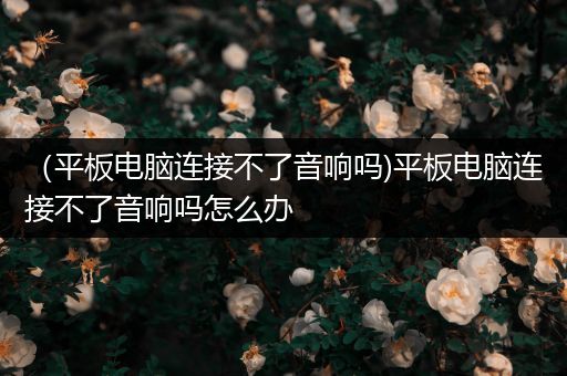 （平板电脑连接不了音响吗)平板电脑连接不了音响吗怎么办