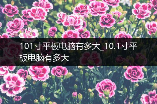 101寸平板电脑有多大_10.1寸平板电脑有多大