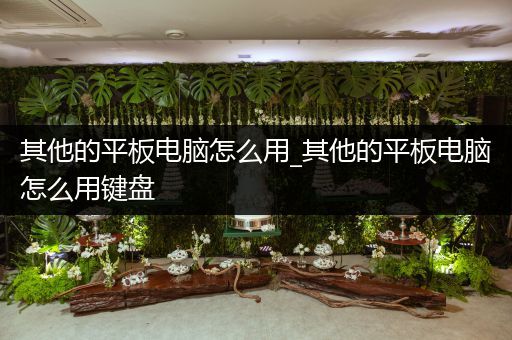 其他的平板电脑怎么用_其他的平板电脑怎么用键盘