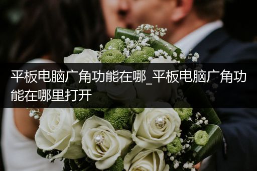 平板电脑广角功能在哪_平板电脑广角功能在哪里打开