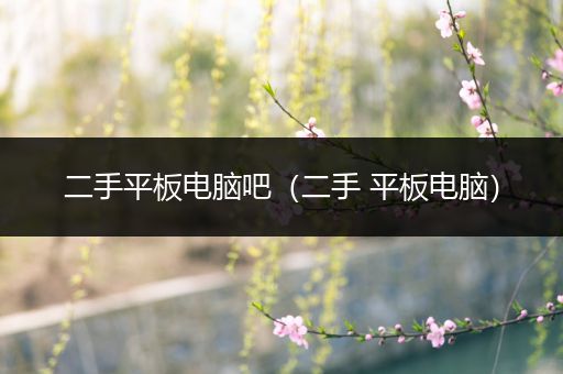 二手平板电脑吧（二手 平板电脑）
