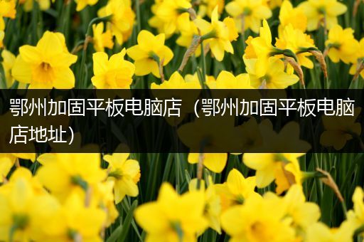 鄂州加固平板电脑店（鄂州加固平板电脑店地址）