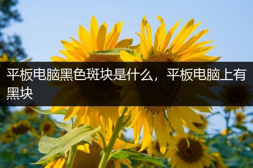 平板电脑黑色斑块是什么，平板电脑上有黑块