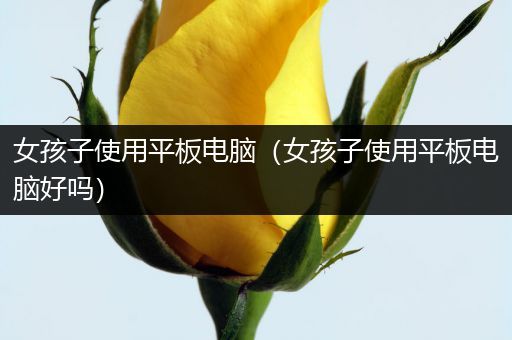 女孩子使用平板电脑（女孩子使用平板电脑好吗）