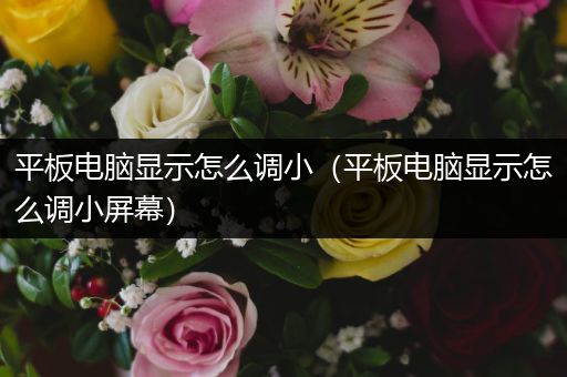 平板电脑显示怎么调小（平板电脑显示怎么调小屏幕）