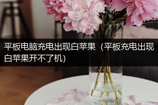 平板电脑充电出现白苹果（平板充电出现白苹果开不了机）