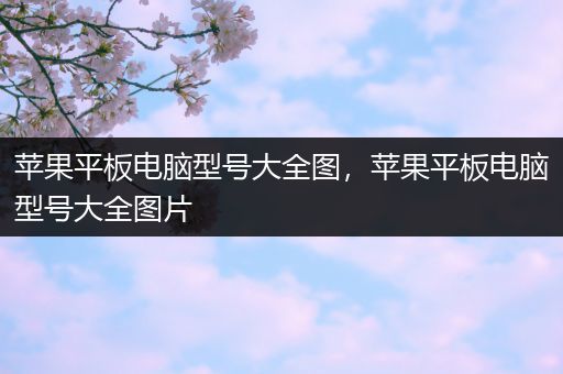 苹果平板电脑型号大全图，苹果平板电脑型号大全图片
