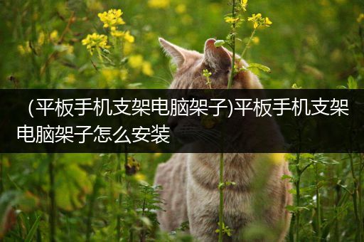 （平板手机支架电脑架子)平板手机支架电脑架子怎么安装
