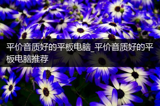 平价音质好的平板电脑_平价音质好的平板电脑推荐