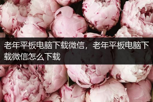 老年平板电脑下载微信，老年平板电脑下载微信怎么下载