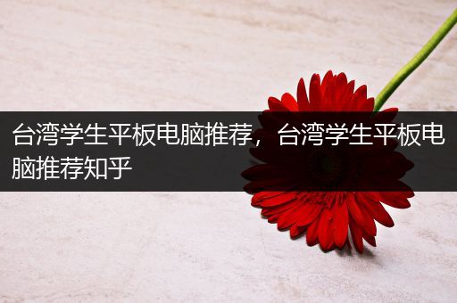 台湾学生平板电脑推荐，台湾学生平板电脑推荐知乎