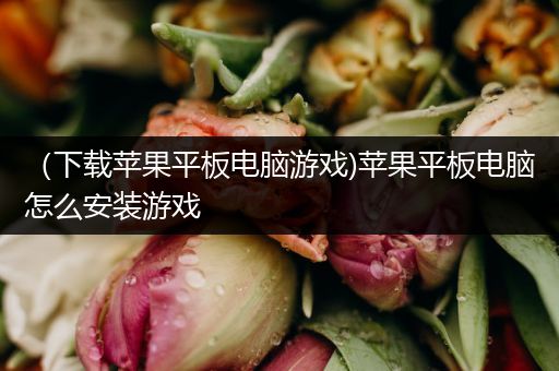 （下载苹果平板电脑游戏)苹果平板电脑怎么安装游戏