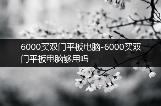 6000买双门平板电脑-6000买双门平板电脑够用吗