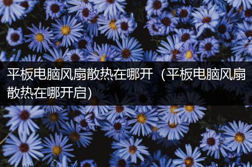 平板电脑风扇散热在哪开（平板电脑风扇散热在哪开启）