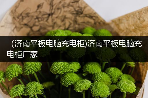 （济南平板电脑充电柜)济南平板电脑充电柜厂家