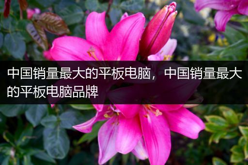 中国销量最大的平板电脑，中国销量最大的平板电脑品牌