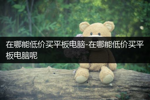 在哪能低价买平板电脑-在哪能低价买平板电脑呢