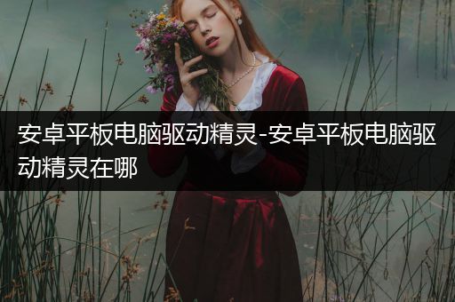 安卓平板电脑驱动精灵-安卓平板电脑驱动精灵在哪