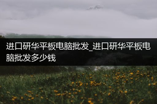 进口研华平板电脑批发_进口研华平板电脑批发多少钱