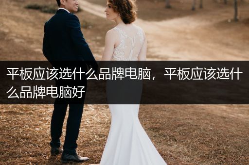 平板应该选什么品牌电脑，平板应该选什么品牌电脑好