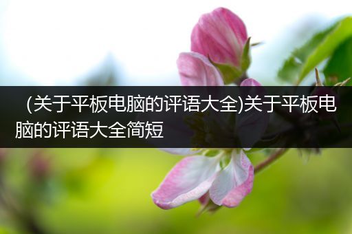 （关于平板电脑的评语大全)关于平板电脑的评语大全简短