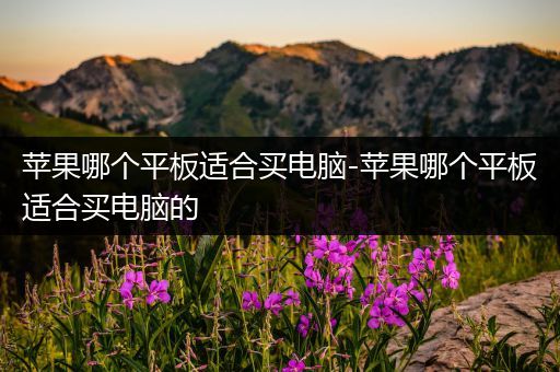 苹果哪个平板适合买电脑-苹果哪个平板适合买电脑的