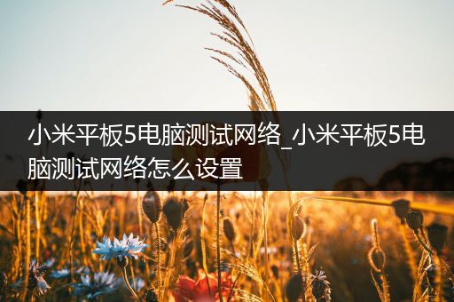 小米平板5电脑测试网络_小米平板5电脑测试网络怎么设置