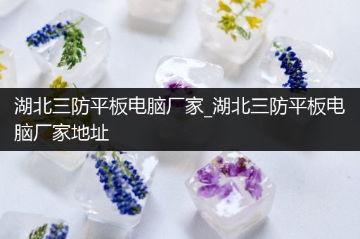 湖北三防平板电脑厂家_湖北三防平板电脑厂家地址
