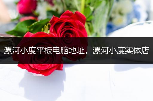 漯河小度平板电脑地址，漯河小度实体店