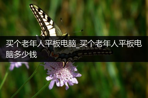 买个老年人平板电脑_买个老年人平板电脑多少钱
